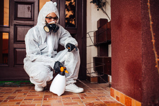 Reliable Mosquito Control contractor in Cocoa Beach, FL by Show Me Pest Control